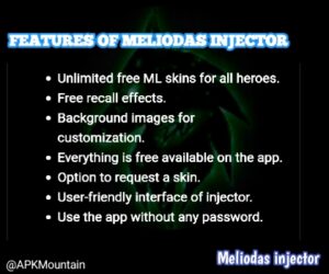 Features of Meliodas Injector