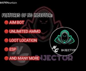 FEATURES OF NG INJECTOR