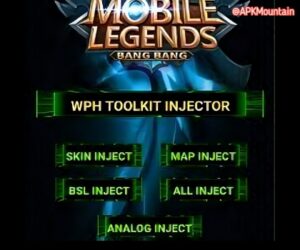 WPH toolkit injector Features