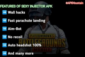 Features of Sexy injector