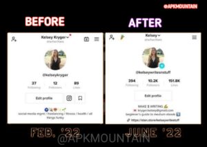  Tiktok Auto Followers APK Effect