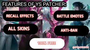  Features of YS Patcher APK