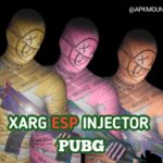 XARG ESP Injector PubG APK