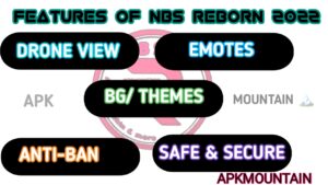 Features of NBS Reborn 