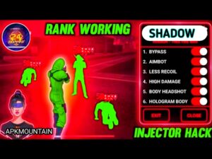 Features of Shadow team Injector