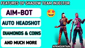 Features of Shadow team Injector