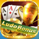 Ludo Bonus APK