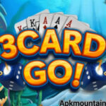 3 Card Go APK