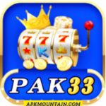 Pak 33 Game APK